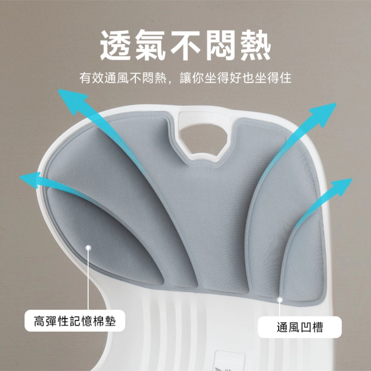 護腰坐墊